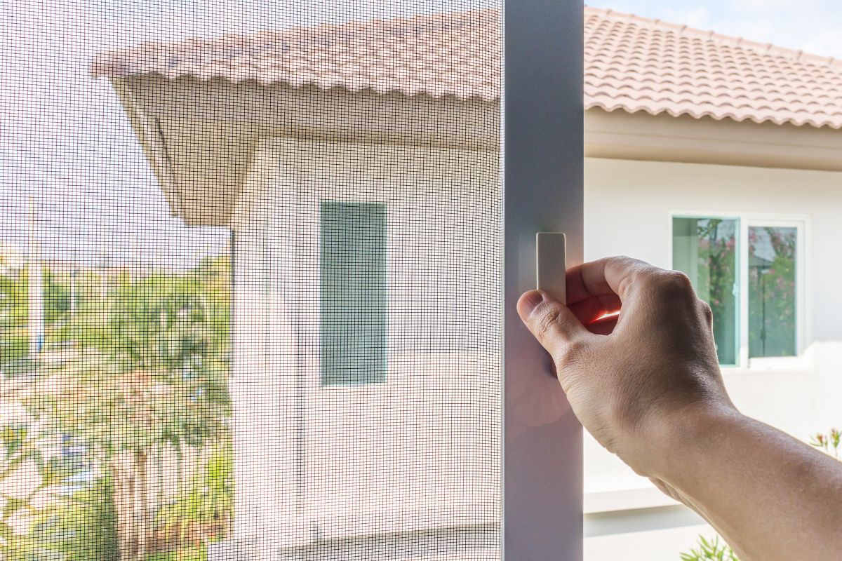 Mosquitera